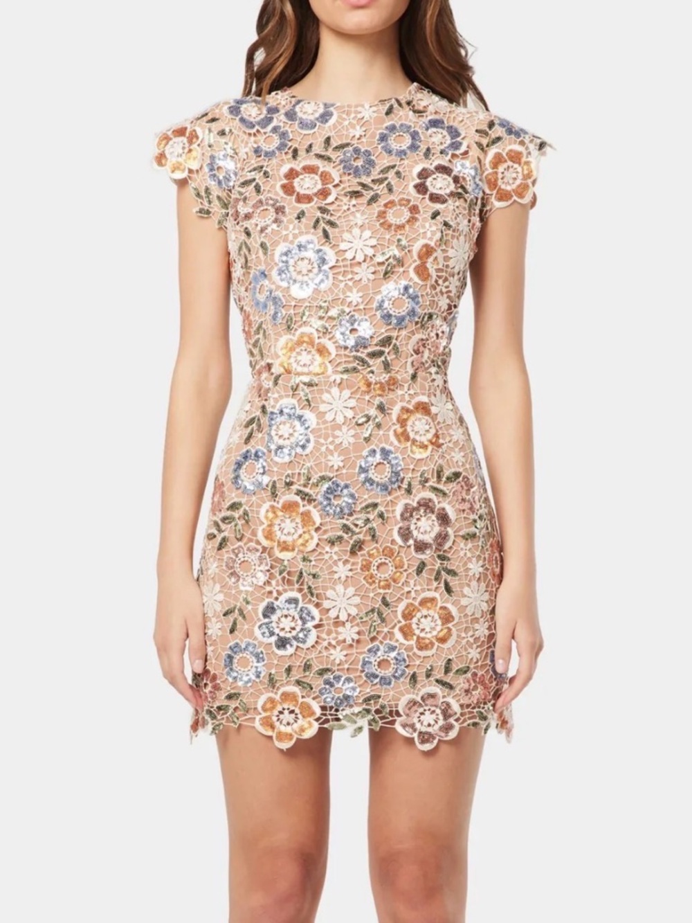 Elliatt Geode Beige Lace Mini Dress with Blue & Rust Floral Embroidery